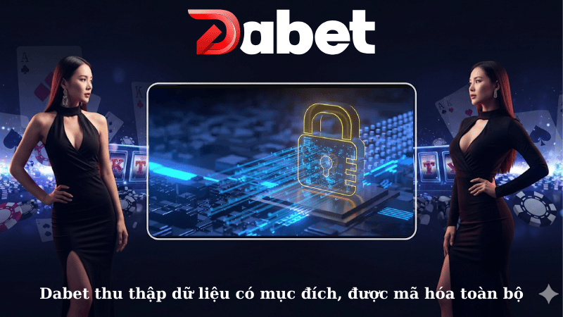 Dabet thu thập dữ liệu có mục đích, được mã hóa toàn bộ